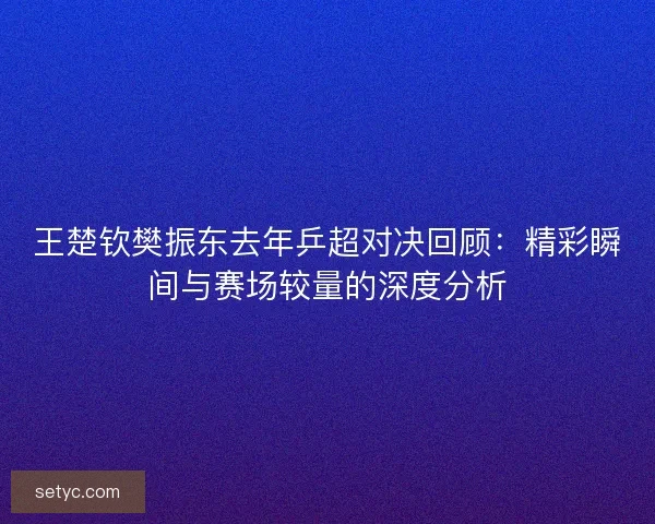 王楚钦樊振东去年乒超对决回顾：精彩瞬间与赛场较量的深度分析